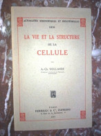 A Ch 'hollande La Vie Et La Structure De La Cellule Hermanncie - Other & Unclassified