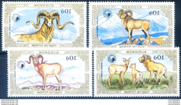 Fauna. Muflone 1987. - Mongolië