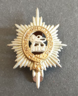 Insigne De Casquette Du Worcestershire Regiment  WW1 WW2 - 1914-18