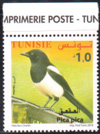 2018-Tunisie- Faune  Terrestre Et Maritime De La Tunisie ---  Pica Pica -- 1V -MNH***** - Piciformes (pájaros Carpinteros)