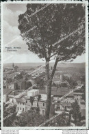 Bu154 Cartolina Poggio Mirteto Panorama Provincia Di Rieti 1935 Lazio - Rieti