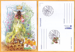 2024 Moldova  MAXICARD Special Postmark „World Bee Day”,Insects, Honeybees - Api