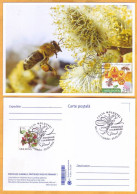 2024 Moldova  MAXICARD Special Postmark „World Bee Day”,Insects, Honeybees - Moldova