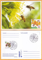 2024 Moldova  MAXICARD Special Postmark „World Bee Day”,Insects, Honeybees - Moldavia