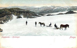 Cpa NORGE - Folgefonden I Hardanger - Ski, Traïneaux Hippomobiles - Norwegen