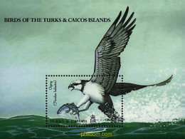 299291 MNH TURKS Y CAICOS 1990 AVES AUTOCTONAS - Turks And Caicos