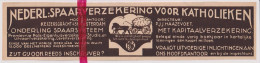 Pub Reclame - Ned. Spaarverzekering Voor Katholieken, Amsterdam - Orig. Knipsel Coupure Tijdschrift Magazine - 1925 - Publicités