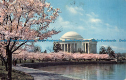 R068623 The Jefferson Memorial At Cherry Blossom Time. Washington. D. C. 1968 - Monde