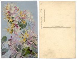 CP - CHEVREFEUILLE DES JARDINS - Illustrateur ALLILOT - Vers 1900 - AN - Blumen