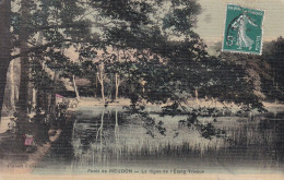 92 - Foret De Meudon La Digue De L'étang Trivaux - Meudon