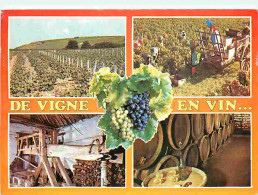 Vignes - De Vigne En Vin - Multivues - Vendanges - Tonneaux - Pressoir - Vendanges - Raisins - Vin - CPM - Voir Scans Re - Wijnbouw
