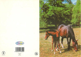 Format Spécial - 195 X 137 Mms Repliée - Animaux - Chevaux - Pouliche Et Son Poulain - Carte Anniversaire - Carte Neuve  - Horses