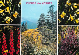 88 - Vosges - Fleurs Des Vosges - Multivues - Carte Neuve - CPM - Voir Scans Recto-Verso - Other & Unclassified