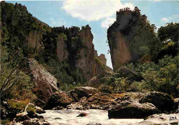 48 - Les Gorges Du Tarn - Le Tarn Tumulteux Se Créant Un Passage Dans Le Chaos Du Pas De Souci - Au Sommet Du Rocher Dom - Gorges Du Tarn