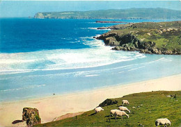 Animaux - Moutons - Royaume-Uni - The North Coast Near Durness, Sutherland - CPM - Carte Neuve- UK - Voir Scans Recto-Ve - Autres & Non Classés