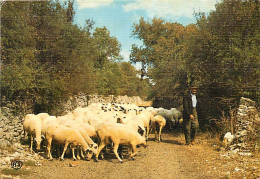 Animaux - Moutons - Les Petits Métiers De Chez Nous - Le Berger Et Son Troupeau - Carte Gauffrée - CPM - Carte Neuve - V - Autres & Non Classés