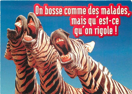 Animaux - Zèbres - Carte à Message Ou Humoristique - CPM - Carte Neuve - Voir Scans Recto-Verso - Zebra's