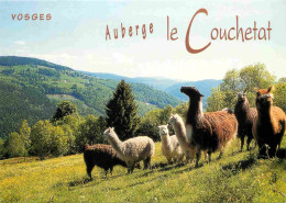Animaux - Lamas - Alpagas - La Bresse - Auberge Le Couchetat - CPM - Carte Neuve - Voir Scans Recto-Verso - Autres & Non Classés