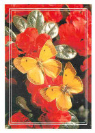 Animaux - Papillons - Fleurs - CPM - Voir Scans Recto-Verso - Vlinders