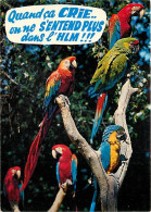 Animaux - Oiseaux - Perroquet - Aras ( Amérique Du Sud ) - Carte Humoristique - CPM - Voir Scans Recto-Verso - Birds