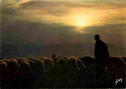 Animaux - Moutons - Crépuscule Sur Le Troupeau - CPM - Voir Scans Recto-Verso - Autres & Non Classés