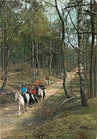 Animaux - Chevaux - Pays Bas - Dwingeloo - Promenade Equestre En Forêt - Voir Scans Recto Verso  - Chevaux
