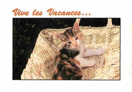 Animaux - Chats - Chatons - Carte Neuve - CPM - Voir Scans Recto-Verso - Chats