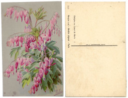 CP - DIELYTRA Ou CŒUR DE MARIE - Illustrateur ALLILOT - Vers 1900 - AP - Blumen