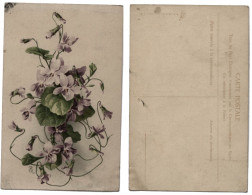 CP - Fleurs De La Série 1752 : VIOLETTES - K.F. Editeurs - Vers 1900 - AQ - Fleurs