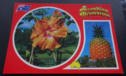 Australia - Queensland's Popular Tourist Attraction On The Sunshine Coast - Sunshine Plantation - Wren Souvenirs, Qld. - Altri & Non Classificati