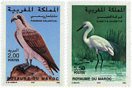 36780 MNH MARRUECOS 1996 FAUNA. AVES - Marokko (1956-...)
