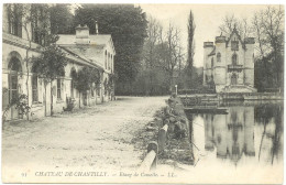 Châteaux De CHANTILLY - Etang De Comelle - Animation - Chantilly