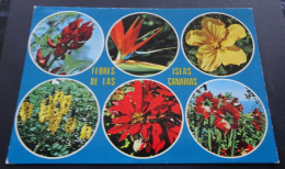 Flores De Las Islas Canarias - Euroafricana De Canarias, S/C. De Tenerife - Autres & Non Classés