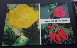 Recuerdo De Tenerife - Ediciones Gasteiz - Tenerife