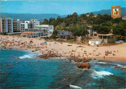 Espagne - Espana - Cataluna - Costa Brava - San Antonio De Calonge - Playa - Plage - CPM - Voir Scans Recto-Verso - Gerona