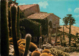 Fleurs - Plantes - Cactus - La Cote D'Azur - Plantes Exotiques - CPM - Voir Scans Recto-Verso - Sukkulenten