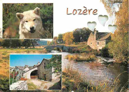 48 - Lozère - Multivues - Loup - CPM - Voir Scans Recto-Verso - Sonstige & Ohne Zuordnung