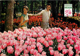 45 - Orléans - Floralies Internationales 1967 - Parc Floral De La Source - Carte No 8 - Fleurs - CPM - Voir Scans Recto- - Orleans