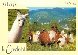 Animaux - Lamas - Alpagas - La Bresse - Auberge Le Couchetat - CPM - Carte Neuve - Voir Scans Recto-Verso - Other & Unclassified