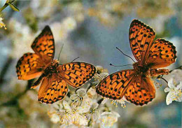 Animaux - Papillons - Fleurs - CPM - Voir Scans Recto-Verso - Mariposas
