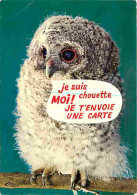 Animaux - Oiseaux - Chouette - Carte Humoristique - Flamme Postale - CPM - Voir Scans Recto-Verso - Birds