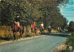 Animaux - Chevaux - Promenade Equestre - Carte Neuve - Voir Scans Recto Verso  - Horses