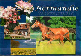 Animaux - Chevaux - Normandie - Jument Et Son Poulain - Voir Scans Recto Verso  - Horses