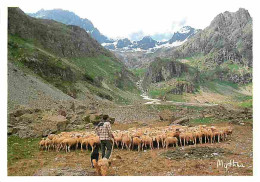 Animaux - Moutons - Randonnée En Montagne - CPM - Voir Scans Recto-Verso - Autres & Non Classés