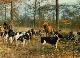 Animaux - Chiens - Chasse à Courre - CPM - Voir Scans Recto-Verso - Hunde