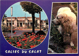 31 - Salies Du Salat - CPM - Voir Scans Recto-Verso - Salies-du-Salat