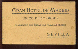 ESPAGNE - SEVILLA - GRAN HOTEL DE MADRID - CARNET DE 20 CARTES - Sevilla