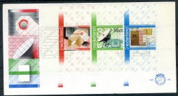 NEDERLAND E192a FDC 1981 - Blok 100 Jaar P.T.T. Diensten - FDC