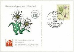 DDR 1987, Postkarte Oberhof, Erholungs- Und Wintersportzentrum, Herbst-Zeitlose, Gebirgspflanzengarten - Sonstige & Ohne Zuordnung