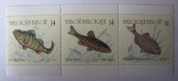 BELGIQUE - Poissons - 1990 - Unused Stamps